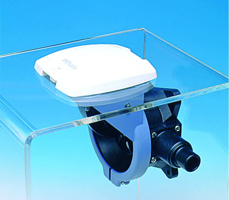 Whale Gusher Urchin Thru Deck Bulkhead