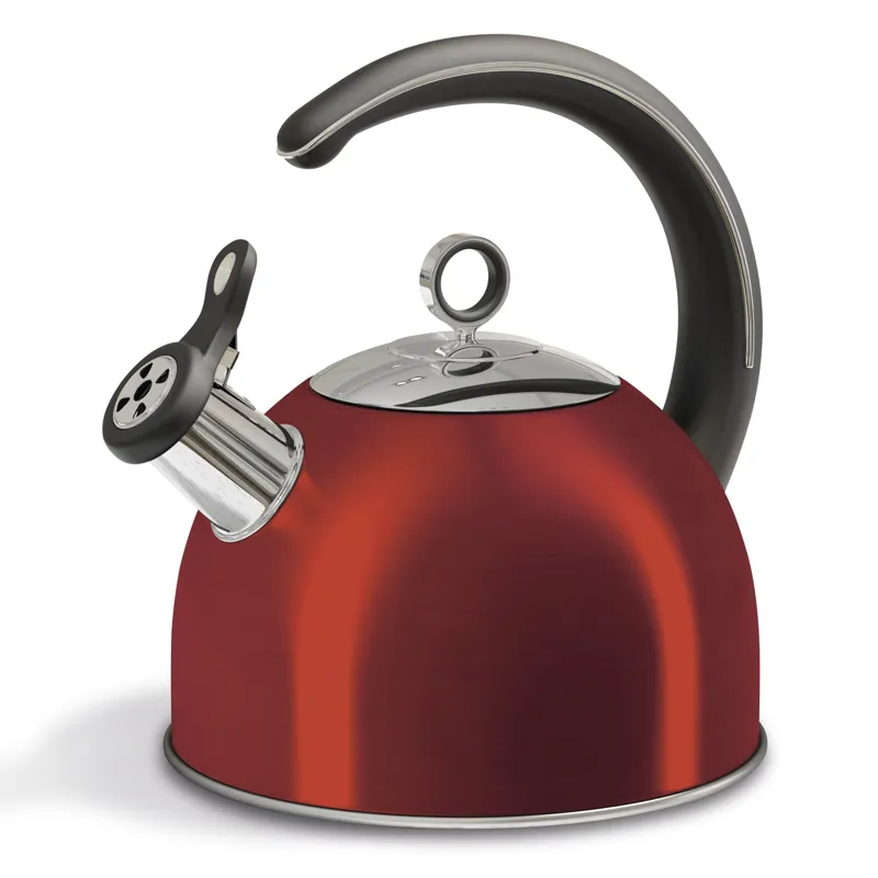 Morphy Richards Accents Kettle