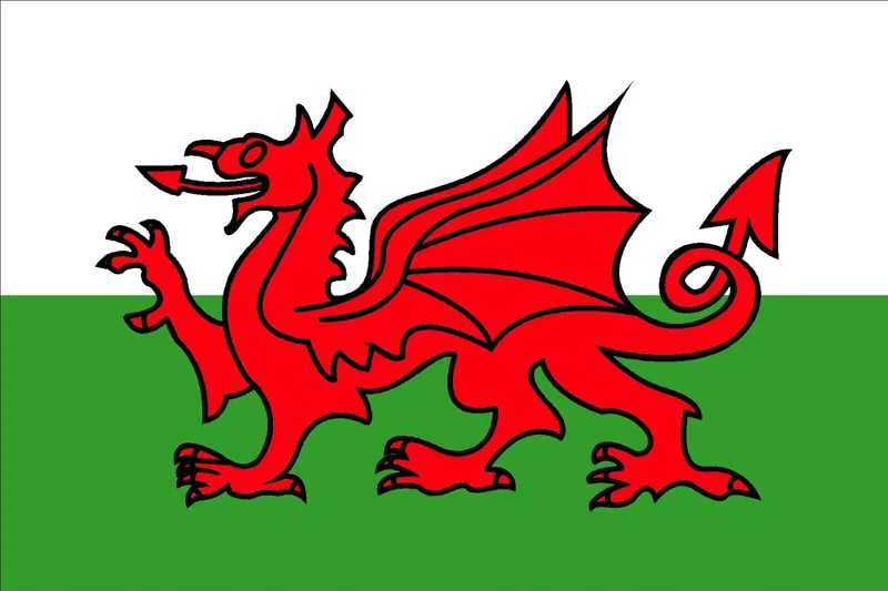 Welsh Dragon Courtesy Flag - 30 x 45cm Printed