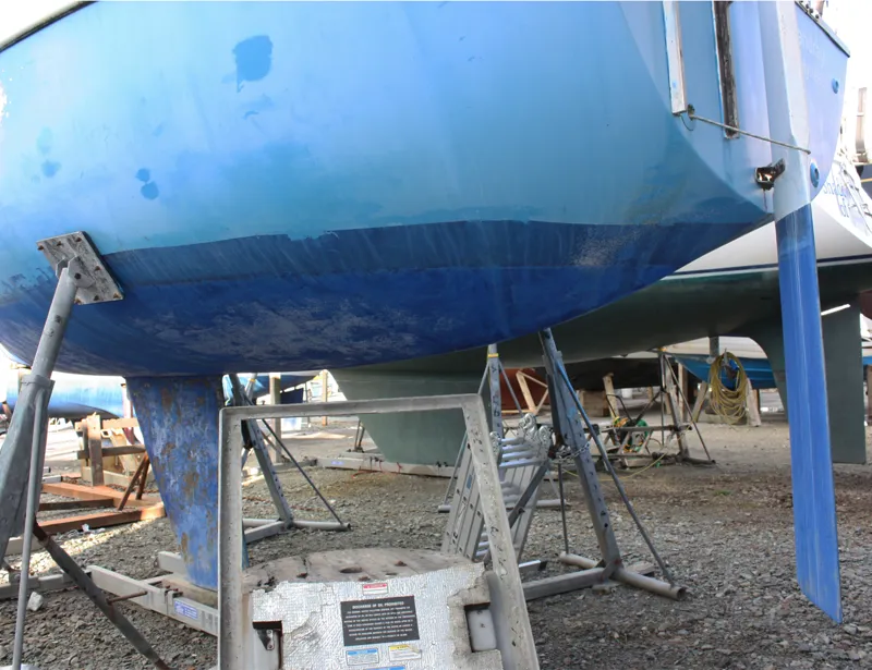 Hunter Sonata 7 - Sandray-4