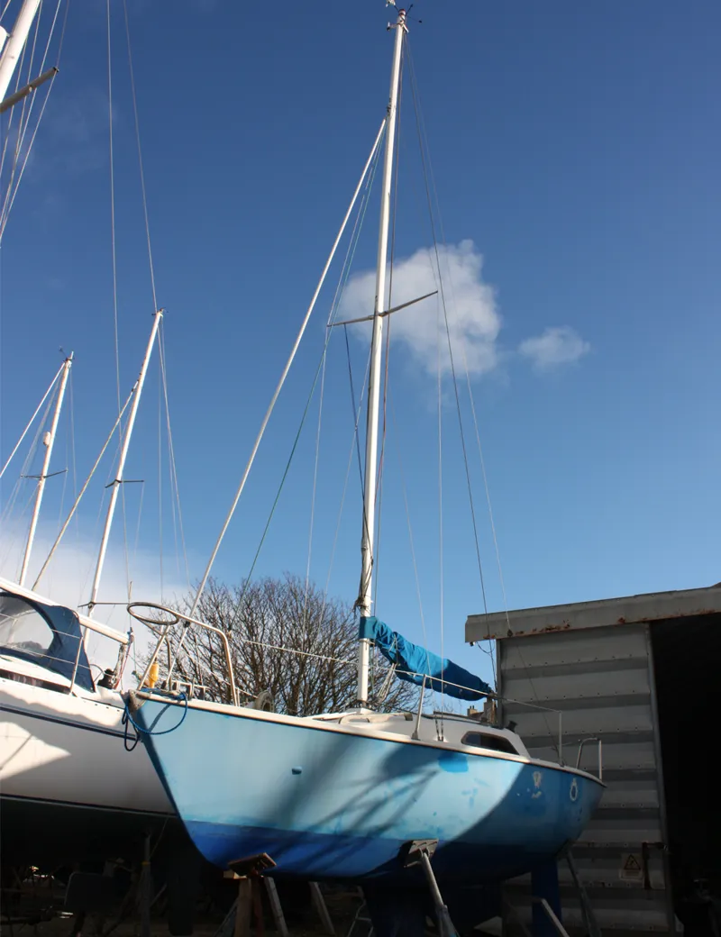 Hunter Sonata 7 - Sandray-12