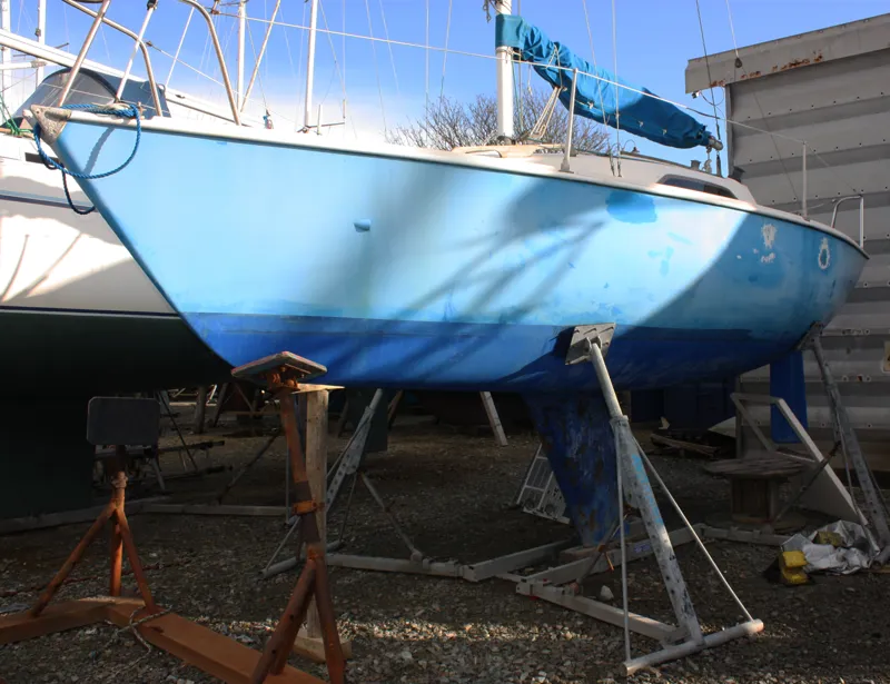 Hunter Sonata 7 - Sandray