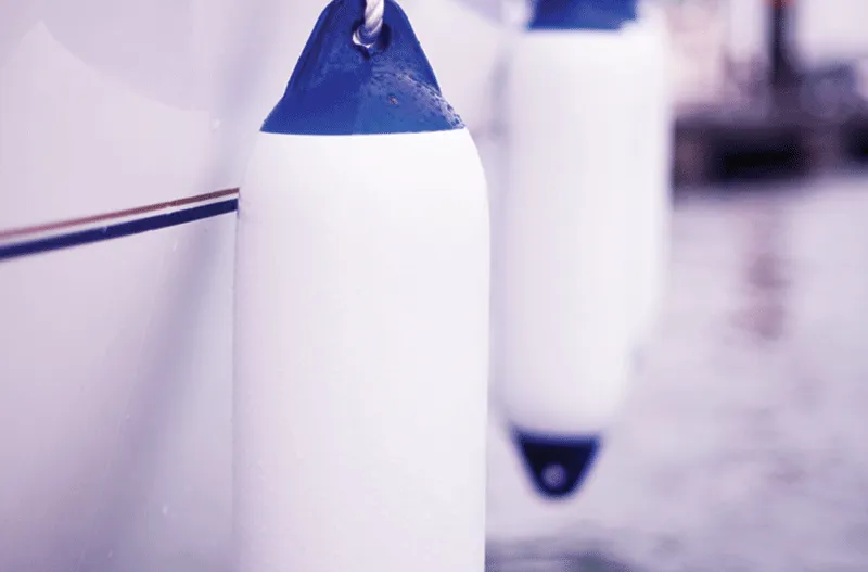 Seago Fenders White with Blue Ends-1