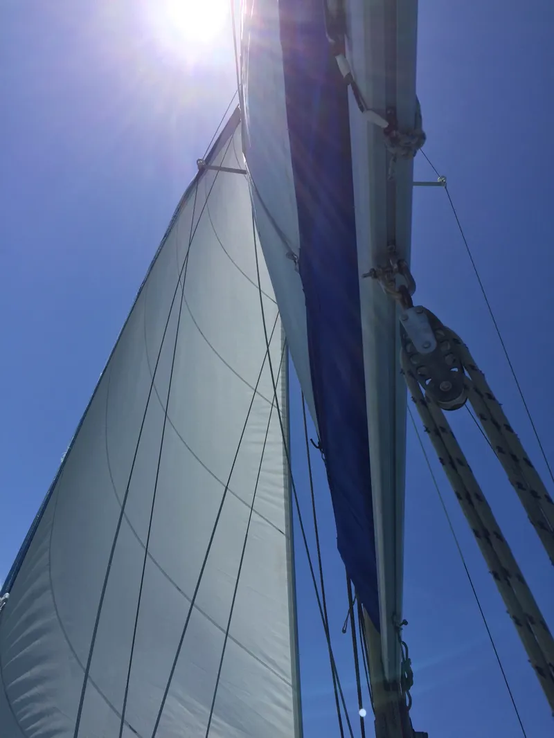 Marcon Cutlass 27 - Lady Ash-6